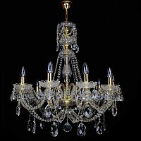 Wranovsky Gratziela 10 Alpha Gold фото