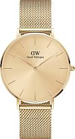 Daniel Wellington DW00100475 фото