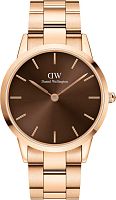 Daniel Wellington DW00100460 фото