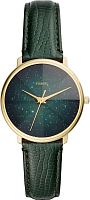 Fossil Prismatic Galaxy ES4730 фото