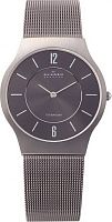 Skagen Mesh Titanium 233LTTM фото