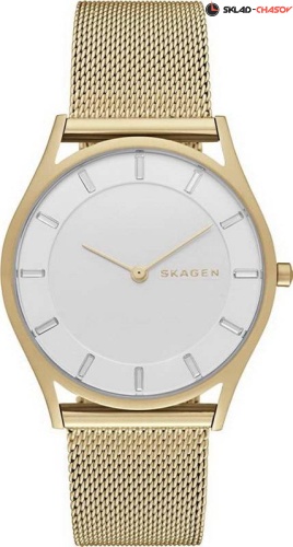 Skagen Mesh SKW2377 фото
