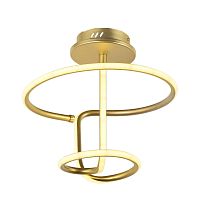 Потолочный светодиодный светильник Arti Lampadari Angelo L 1.2.35.05 G фото