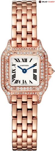 Часы Cartier Panthere de Cartier WJPN0020 фото