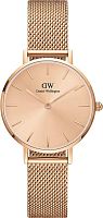 Daniel Wellington DW00100470 фото