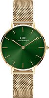 Daniel Wellington DW00100480 фото