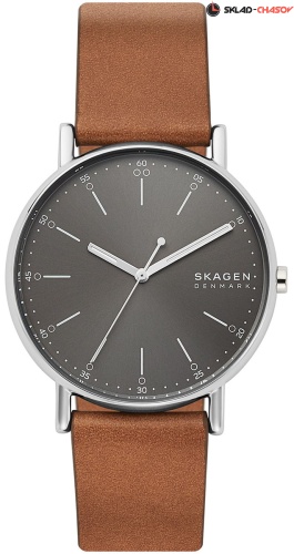 Skagen Signatur SKW6578 фото