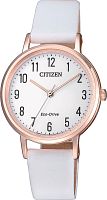 Citizen Eco-Drive EM0579-14A фото