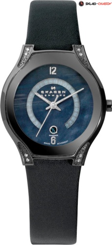 Skagen Leather Swiss 886SBLB фото