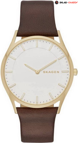 Skagen LEATHER SKW6225 фото
