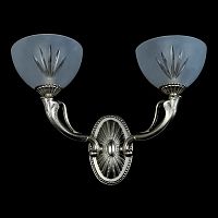 Wranovsky Crater 2 Silver фото