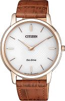 Citizen Eco-Drive AR1133-15A фото