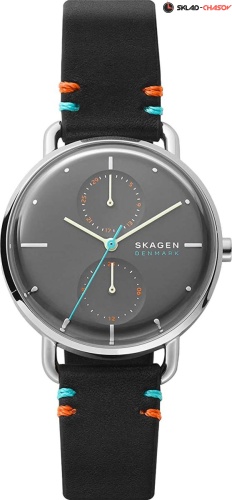 Skagen Horizont SKW2930 фото