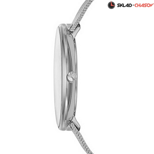 Skagen Mesh SKW2140 фото фото 2