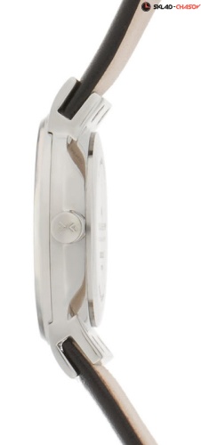 Skagen Leather Classic 358XSSLBC фото фото 2