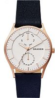 Skagen Leather SKW6372 фото