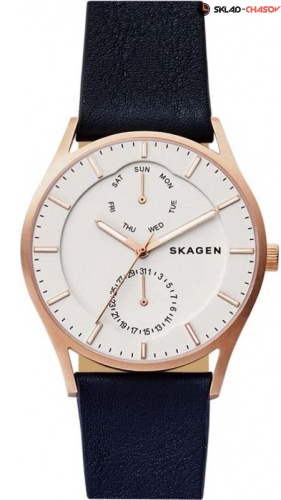 Skagen Leather SKW6372 фото