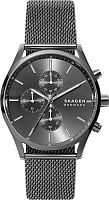 Skagen Holst SKW6608 фото