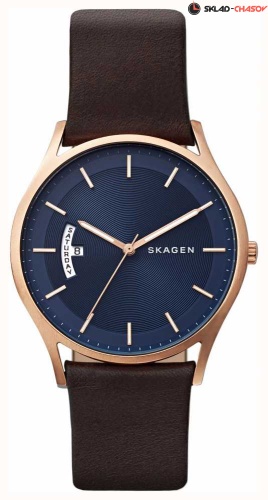 Skagen Leather SKW6395 фото
