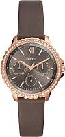 Fossil Izzy ES4889 фото
