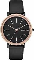 Skagen LEATHER SKW2490 фото