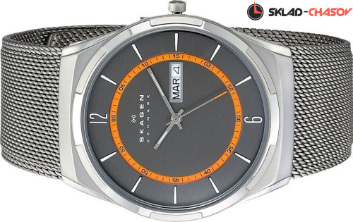 Skagen Titanium SKW6007 фото фото 2