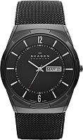 Skagen Titanium SKW6006 фото
