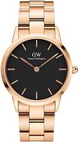 Daniel Wellington DW00100210 фото