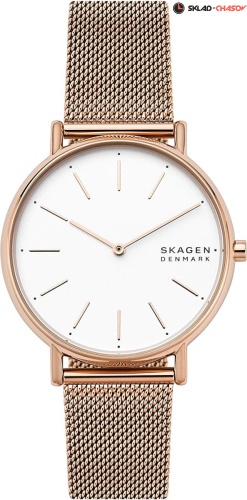Skagen Signatur SKW2784 фото