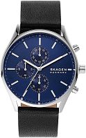 Skagen Holst SKW6606 фото