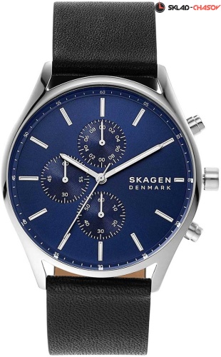 Skagen Holst SKW6606 фото