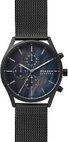 Skagen Holst SKW6651 фото