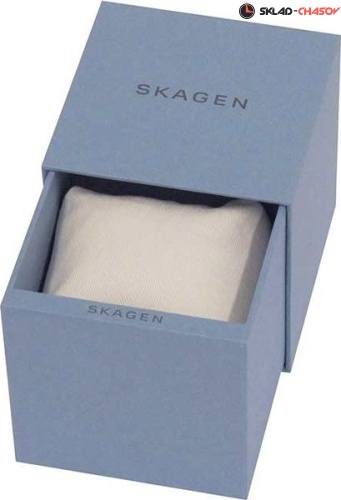 Skagen Mesh SKW2702 фото фото 2