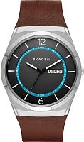 Skagen LEATHER SKW6305 фото