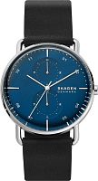 Skagen Horizont SKW6702 фото