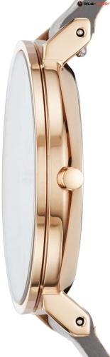 Skagen Leather SKW2674 фото фото 2