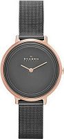 Skagen Mesh SKW2277 фото