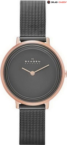 Skagen Mesh SKW2277 фото