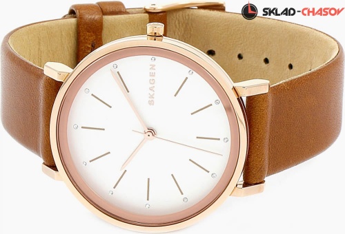 Skagen LEATHER SKW2488 фото фото 2