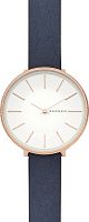 Skagen Karolina SKW2723 фото
