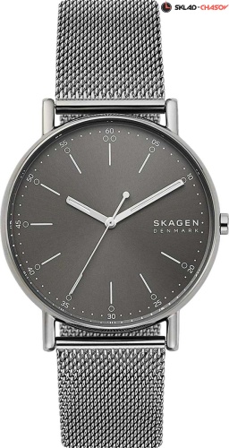 Skagen Signature SKW6577 фото