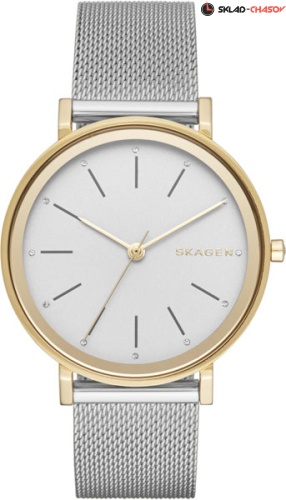 Skagen Hald Steel Mesh Watch SKW2508 фото