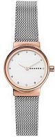 Skagen Mesh SKW1101 фото