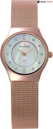 Skagen Mesh Classic 233XSRR фото