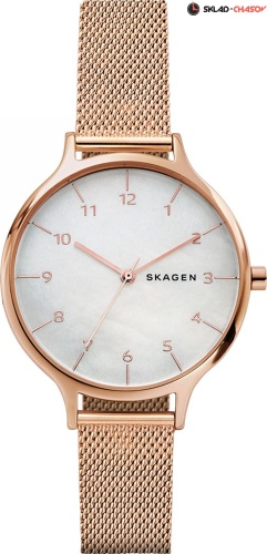 Skagen Mesh SKW2633 фото
