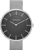 Skagen Mesh SKW2561 фото
