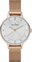 Skagen Mesh SKW2151 фото