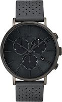 Timex TW2R97800VN фото