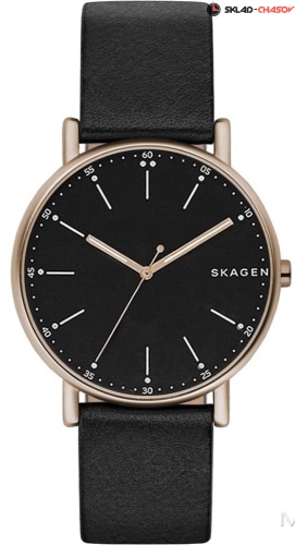 Skagen Leather SKW6401 фото