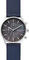 Skagen Holst SKW6653 фото